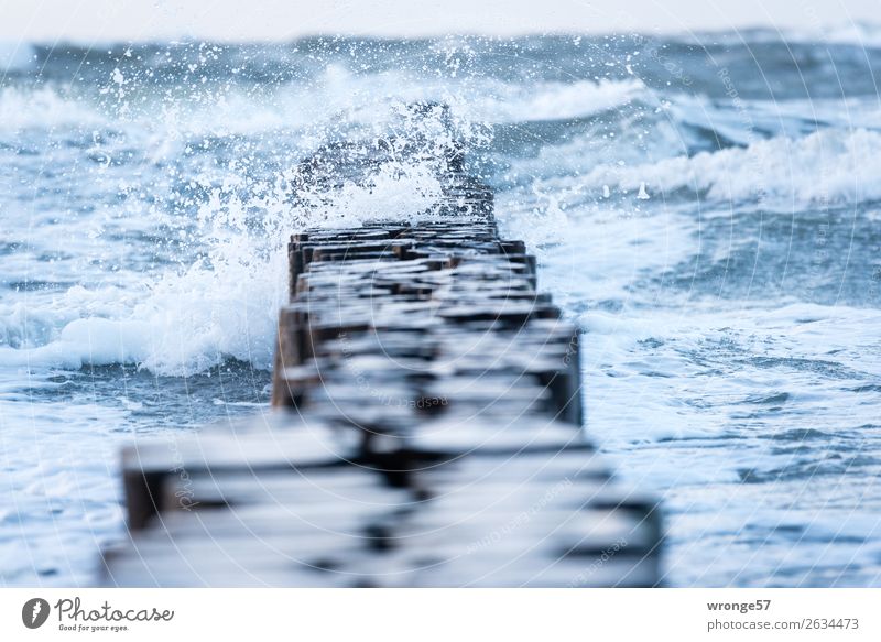 Spritzig Umwelt Natur Wasser Herbst schlechtes Wetter Wind Sturm Regen Wellen Küste Ostsee maritim nass blau braun Holzpfahl Meer spritzen Wellengang enthemmt