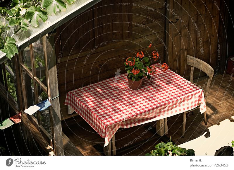 Idylle Häusliches Leben Wohnung Haus Stuhl Tisch Holzhaus Terrasse Gartenhaus Sommer Schönes Wetter Topfpflanze Pelargonie hell rot urig gemütlich Gebetsfahnen