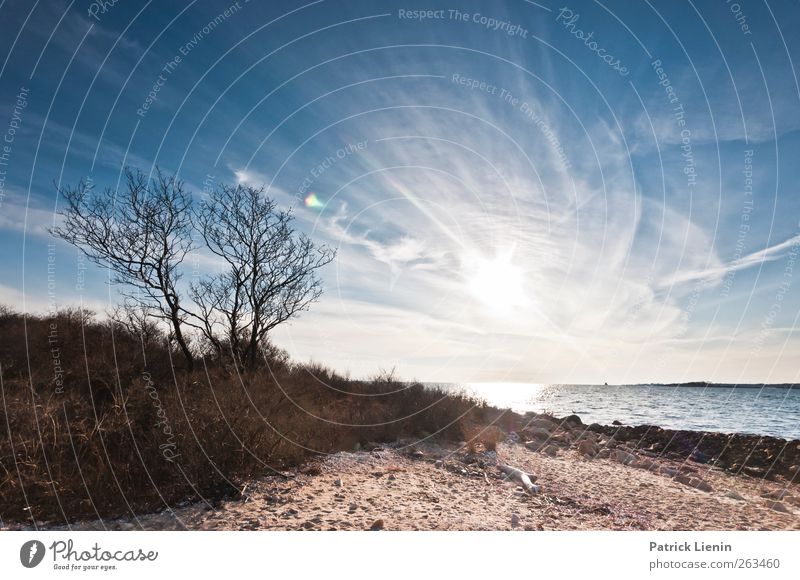 In der Ferne... Umwelt Natur Landschaft Pflanze Urelemente Sand Luft Wasser Himmel Sonne Sonnenfinsternis Sonnenaufgang Sonnenuntergang Sonnenlicht Frühling