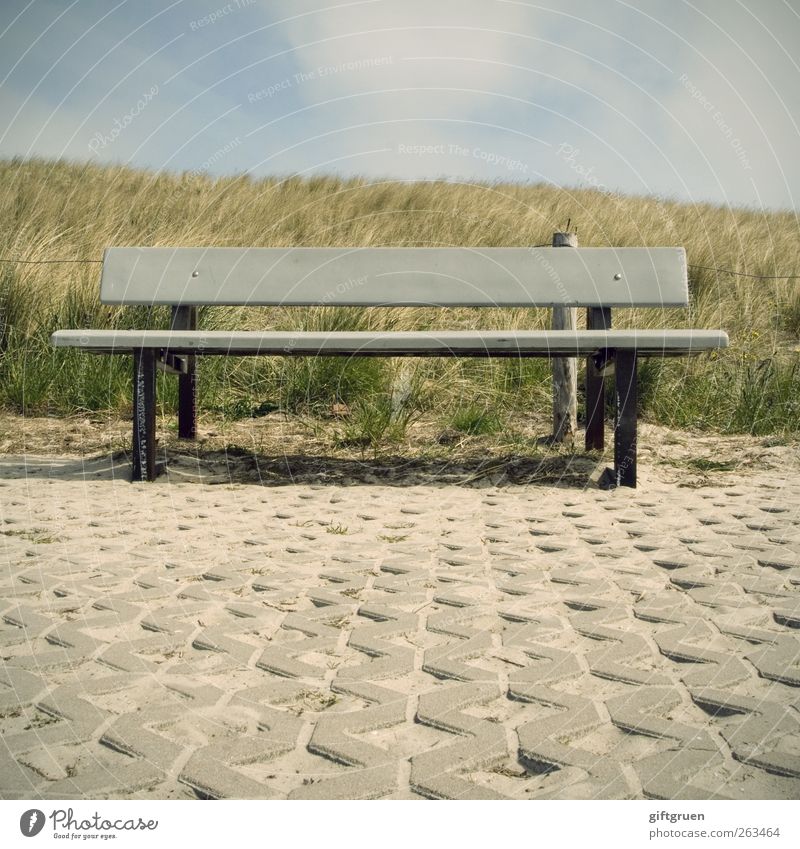 erste reihe fußfrei Natur Erde Himmel Pflanze Gras Wiese Hügel Küste Nordsee sitzen Bank Sitzgelegenheit Dünengras Steinboden Bodenbelag Holzbank Perspektive