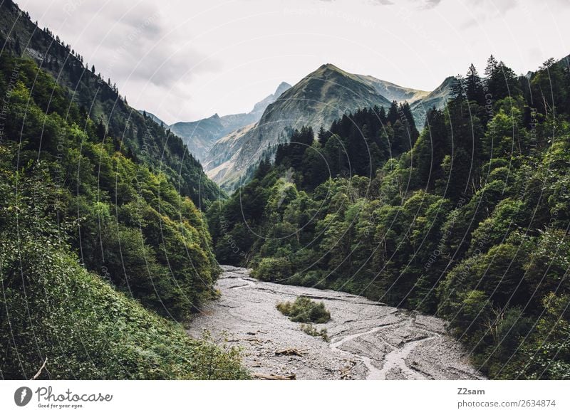 Trettlachtal im Allgäu Berge u. Gebirge wandern Umwelt Natur Landschaft Himmel Wolken Alpen Gipfel gigantisch natürlich grün Abenteuer Einsamkeit entdecken