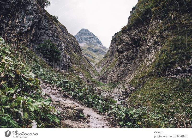 Aufstieg zur Kemptner Hütte Berge u. Gebirge wandern Natur Landschaft schlechtes Wetter Alpen Gipfel gigantisch natürlich grün Abenteuer Freizeit & Hobby Idylle