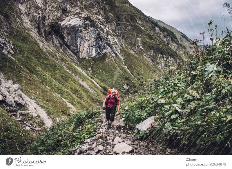 Frau auf Alpenüberquerung Ferien & Urlaub & Reisen Abenteuer Berge u. Gebirge wandern Junge Frau Jugendliche 18-30 Jahre Erwachsene Natur Landschaft Sträucher