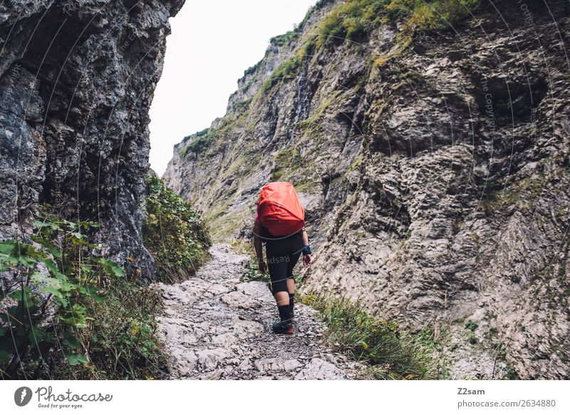 Alpenüberquerung Ferien & Urlaub & Reisen wandern Junge Frau Jugendliche 18-30 Jahre Erwachsene Natur Landschaft schlechtes Wetter Felsen Berge u. Gebirge