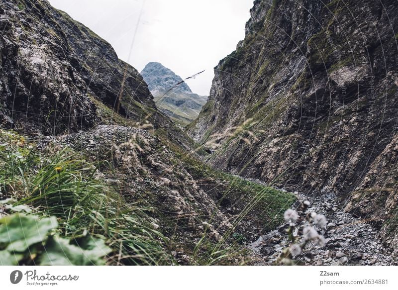 Aufstieg zur Kemptner Hütte wandern Natur Landschaft Sträucher Alpen Berge u. Gebirge Gipfel gigantisch grün Einsamkeit Abenteuer Beginn anstrengen Erholung