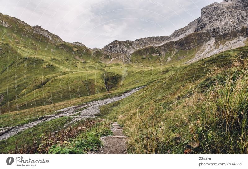 Aufstieg zum Mädlejoch wandern Natur Landschaft Sträucher Wiese Alpen Berge u. Gebirge Gipfel ästhetisch frisch gigantisch hoch nachhaltig grün Abenteuer