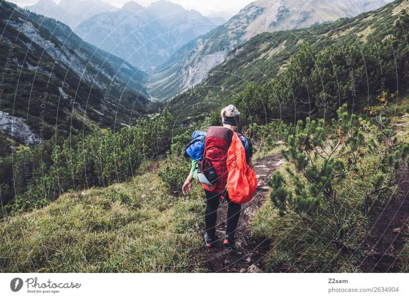 Frau auf Alpenüberquerung Ferien & Urlaub & Reisen Abenteuer wandern Junge Frau Jugendliche 18-30 Jahre Erwachsene Natur Landschaft Schönes Wetter Sträucher