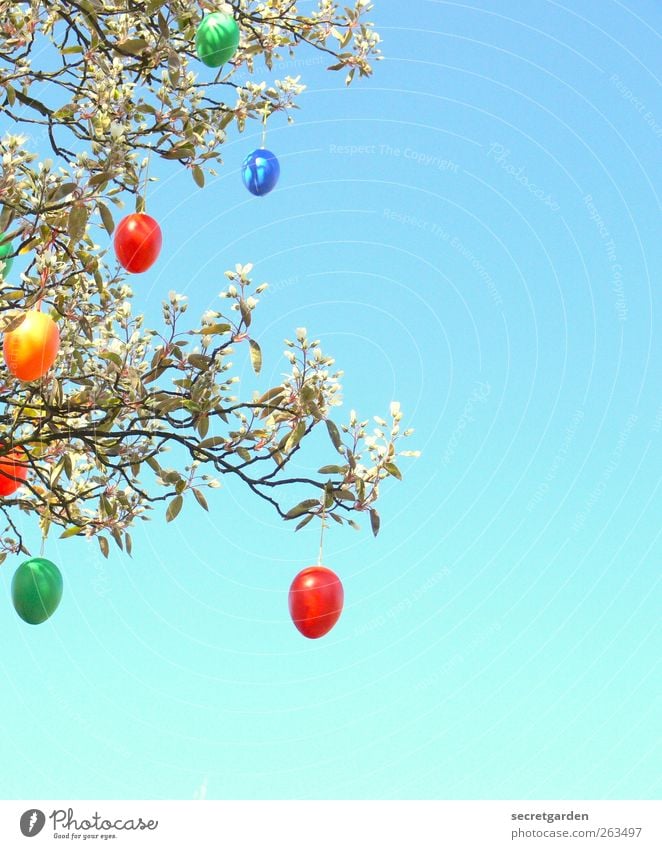 fröhliches Ostereiersuchen. Pflanze Baum Sträucher Kitsch Krimskrams blau mehrfarbig gelb grün rot Ostern Farbfoto Menschenleer Textfreiraum rechts