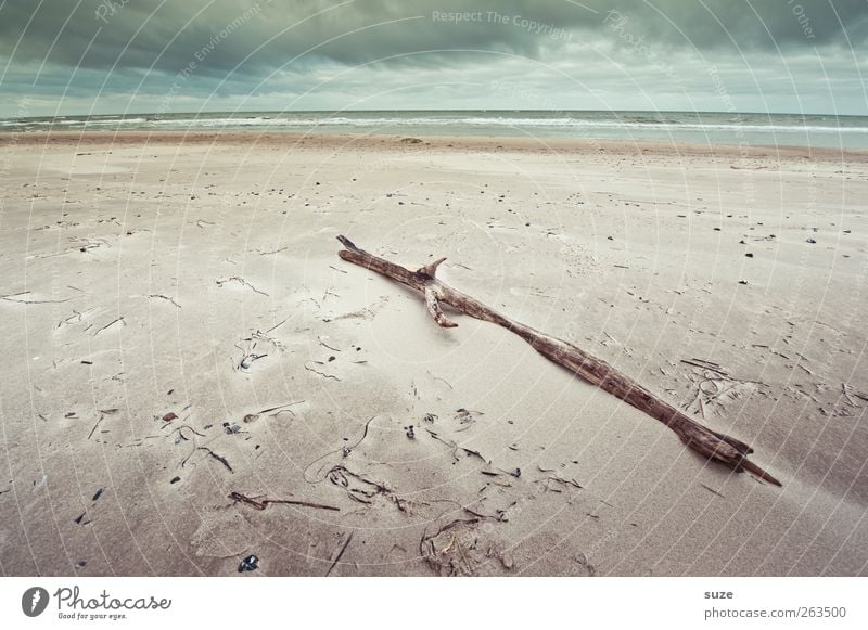 Stockfoto Ferne Umwelt Natur Landschaft Urelemente Sand Luft Wasser Himmel Wolken Horizont Winter Klima Wetter Wind Küste Strand Ostsee Meer Holz liegen trocken