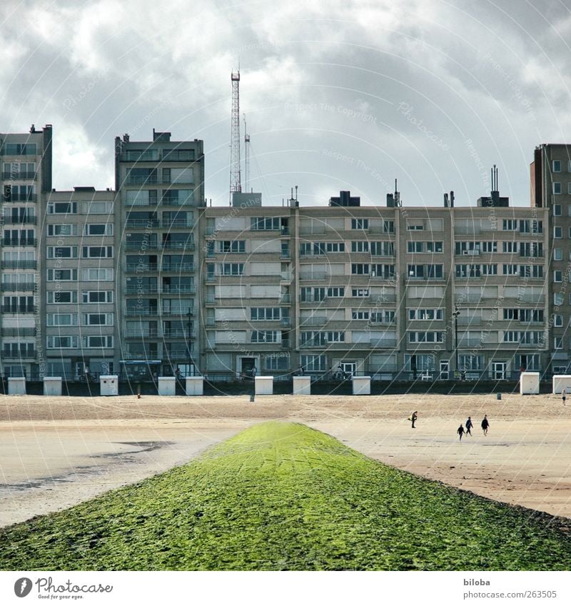 Nordsee Sommer Herbst Strand Meer Sandstrand Buhne Haus grau grün Middelkerke Belgien Europa Ferien & Urlaub & Reisen Mensch Außenaufnahme Textfreiraum unten