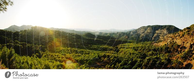 El valle [XXXI] Natur Landschaft Sonne Sonnenlicht Baum Wald Berge u. Gebirge Tal Sierra de Grazalema Hochebene Malaga Andalusien Spanien unberührt Aussicht