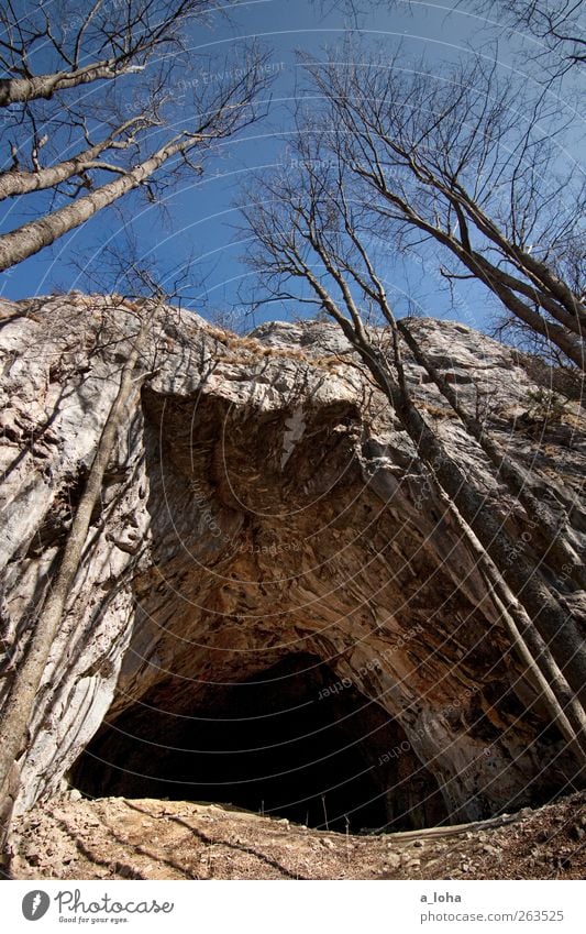 Der Drachentöter von Mixnitz Natur Schönes Wetter Baum Felsen Alpen Berge u. Gebirge Gipfel alt außergewöhnlich gigantisch groß natürlich blau braun einzigartig