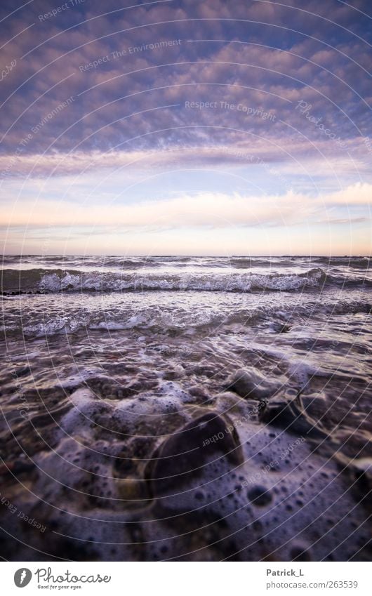 Wer braucht schon blaues, klares Wasser? Ostsee ist angesagt! Landschaft Urelemente Luft Himmel Wolken Horizont Meer Dynamik Strand Ferne Wellen Stein