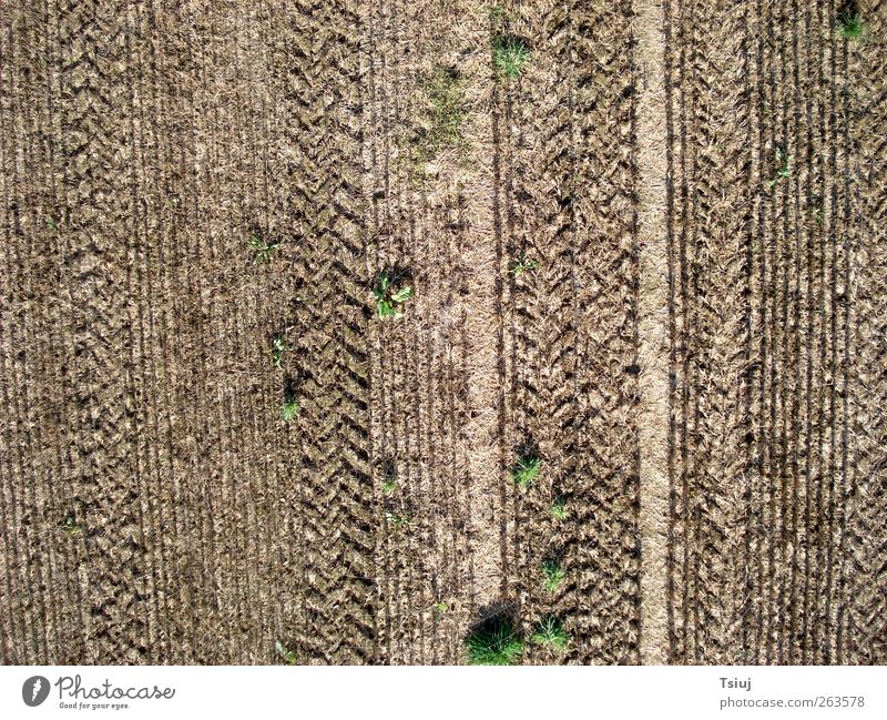 Ackerspuren Landschaft Gras Feld Traktor Perspektive Kap Kite Aerial Photography Luftaufnahme Furche Linie Reifenspuren Landwirtschaft Farbfoto Außenaufnahme