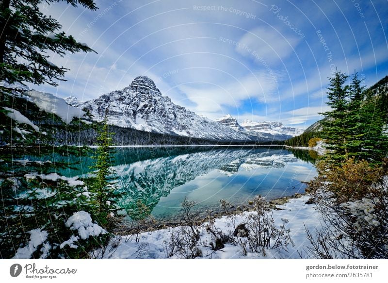 Frostgeflüster Natur Landschaft Pflanze Urelemente Erde Wasser Himmel Wolken Schönes Wetter Baum Sträucher Felsen Schneebedeckte Gipfel Seeufer beobachten Blick