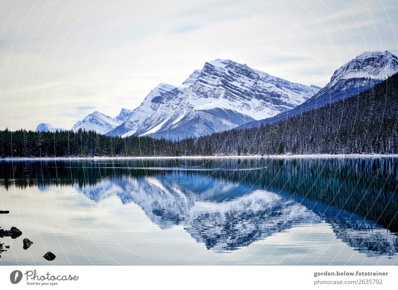 # Kanada/ wilde Weiten Natur Landschaft Pflanze Urelemente Wasser Himmel Winter Schönes Wetter Schnee Baum Gipfel Schneebedeckte Gipfel Bucht entdecken träumen