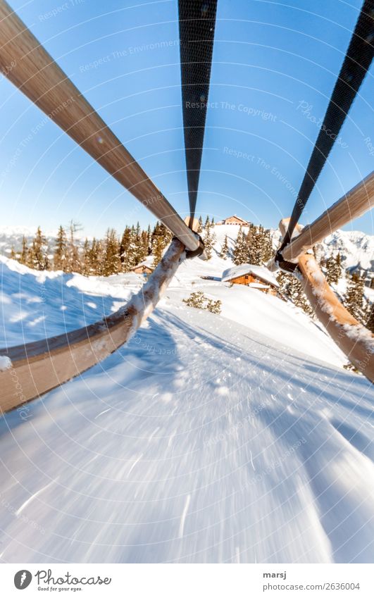 Einen guten Rutsch ins neue Jahr Winter Schnee Winterurlaub Rodeln Unendlichkeit verrückt Hochwurzen Geschwindigkeit Schieflage Neigung Holzrodel Farbfoto