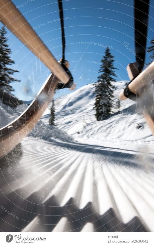 Und jetzt mit Vollgas weiter! Ferien & Urlaub & Reisen Tourismus Abenteuer Winter Schnee Winterurlaub Rodel Rodelbahn Rodeln Natur kalt sportlich blau