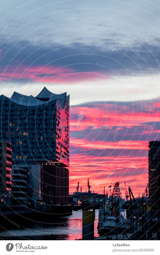 Die rote Elbphilharmonie Theater Himmel Wolken Sonnenaufgang Sonnenuntergang Hamburg Stadt Hafenstadt Architektur Fassade Fischerboot genießen ästhetisch dunkel