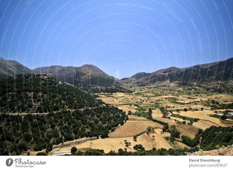 Weites Land Ferien & Urlaub & Reisen Ferne Sommerurlaub Landschaft Wolkenloser Himmel Schönes Wetter Wald Hügel Berge u. Gebirge Gipfel blau braun Kreta Feld