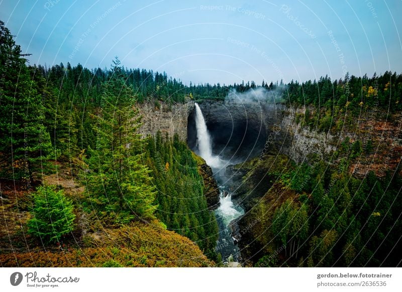 #Kanada/ aller Anfang Natur Landschaft Pflanze Urelemente Himmel Herbst Wetter Schönes Wetter Baum Gras Moos Felsen Wasserfall Stein Holz atmen Bewegung