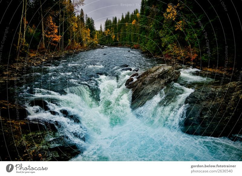 #Kanada/Fluss mit Hindernissen Natur Landschaft Pflanze Urelemente Erde Wasser Himmel Wolken Herbst Baum Gras Moos Wasserfall außergewöhnlich fantastisch