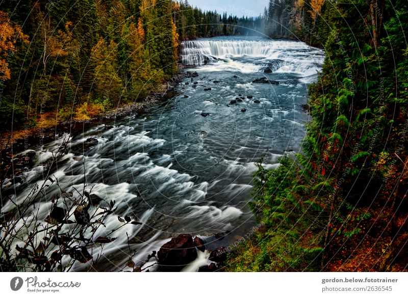 # Kanada/Wildwasser Natur Landschaft Pflanze Urelemente Erde Wasser Himmel Schönes Wetter Baum Gras Felsen Flussufer Wasserfall beobachten Bewegung