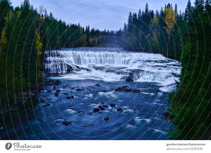 # Kanada/reizende Fluten Natur Landschaft Pflanze Urelemente Erde Wasser Himmel Herbst Schönes Wetter Baum Wildpflanze Wald Flussufer bedrohlich gigantisch