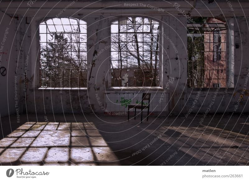 Fensterplatz Menschenleer Haus Industrieanlage Fabrik Mauer Wand braun grau warten Kot Fliesen Schattenseite Schattenspiel Ruine Sonnenschein Farbfoto