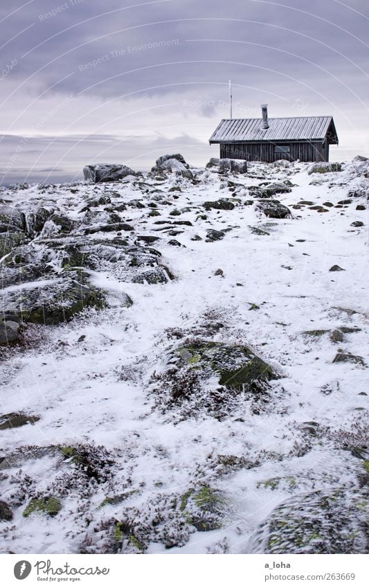 i still remember Natur Landschaft Urelemente Himmel Wolken Winter schlechtes Wetter Eis Frost Schnee Moos Felsen Berge u. Gebirge Gipfel Schneebedeckte Gipfel