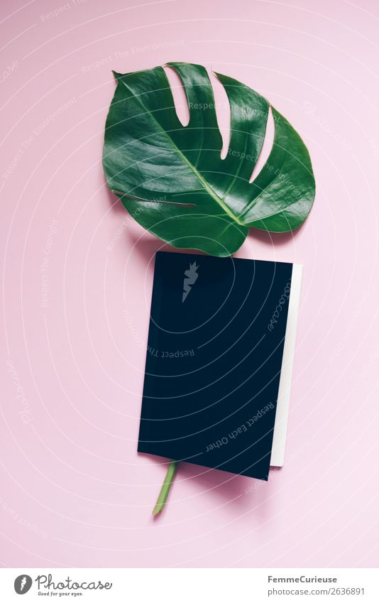 Stem and leaf of a monstera lying in a book Schreibwaren Papier Kreativität Fensterblätter Buch rosa schwarz Design modern grün Blatt Stengel Pflanze