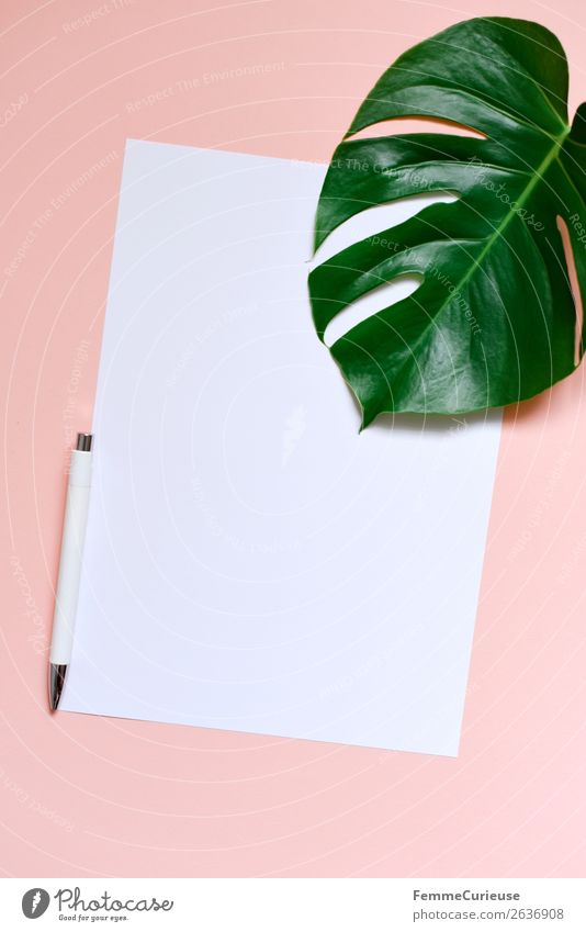 Paper & the leaf of a monstera on salmon-colored background Schreibwaren Papier Zettel Kreativität Fensterblätter Pflanze Pflanzenteile Kugelschreiber rosa