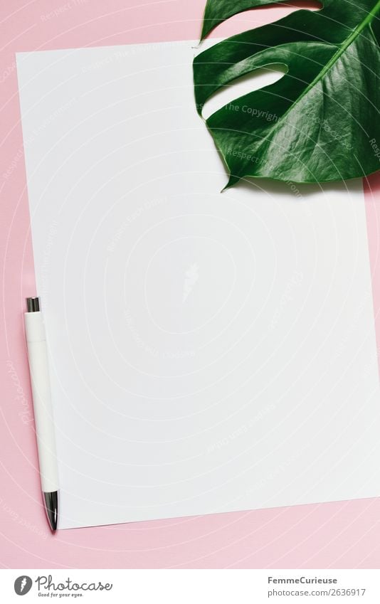 White sheet of paper & the leaf of a monstera on pink background Natur Schreibwaren Papier Zettel Kreativität Design Strukturen & Formen Kugelschreiber A4