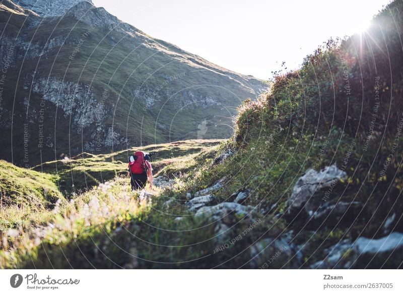 Aufstieg zur Memminger Hütte Lifestyle Ferien & Urlaub & Reisen Abenteuer wandern Junge Frau Jugendliche 18-30 Jahre Erwachsene Natur Landschaft Sonnenlicht