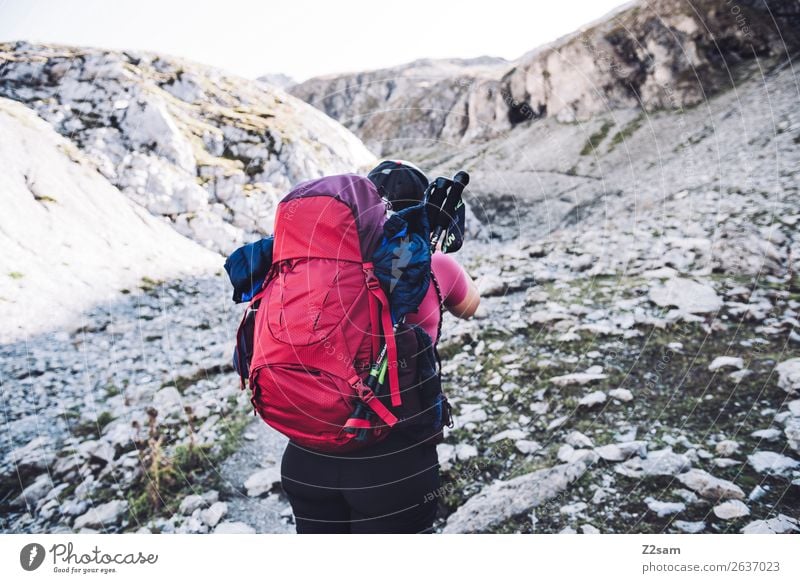 Aufstieg zur Seescharte Ferien & Urlaub & Reisen Abenteuer Berge u. Gebirge wandern Junge Frau Jugendliche 18-30 Jahre Erwachsene 30-45 Jahre Natur Sommer