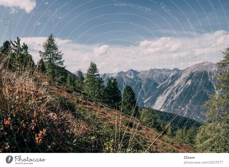 Blick vom Venusberg Richtung Zams | AT wandern Umwelt Natur Landschaft Himmel Wolken Sommer Schönes Wetter Sträucher Wald Alpen Berge u. Gebirge Gipfel