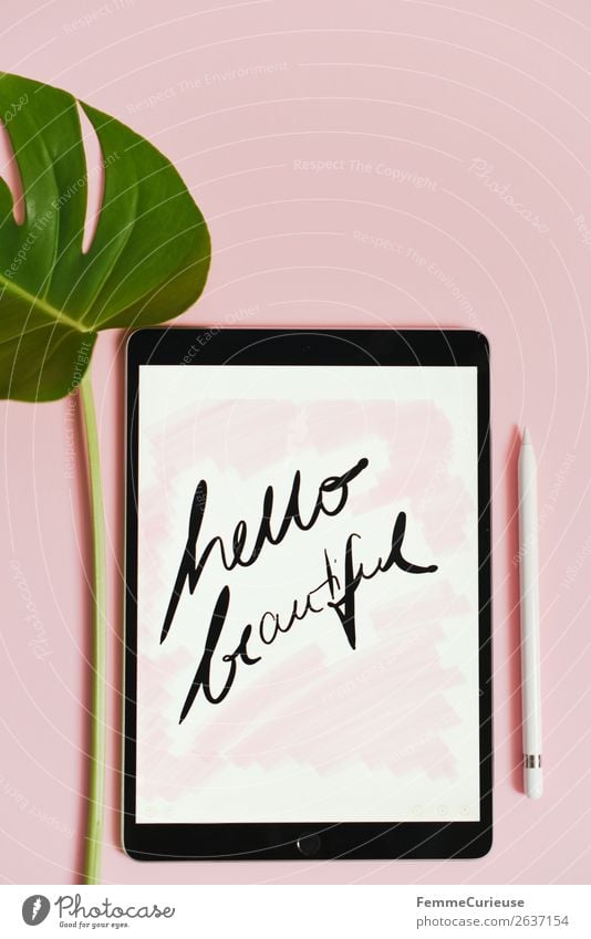 Tablet with a handwritten "hello beautiful!" on pink background Technik & Technologie Unterhaltungselektronik Fortschritt Zukunft Natur Kommunizieren