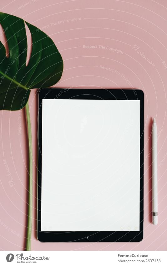 Tablet and leaf of a monstera on pink background Technik & Technologie Unterhaltungselektronik Fortschritt Zukunft Schreibwaren Papier Kreativität