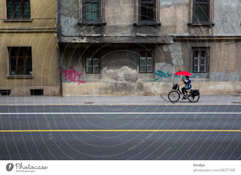 urbane Gegensätze Fahrradfahren feminin Frau Erwachsene 1 Mensch 45-60 Jahre Hauptstadt Altstadt Haus Bauwerk Fassade Fenster Verkehr Straßenverkehr Regenschirm