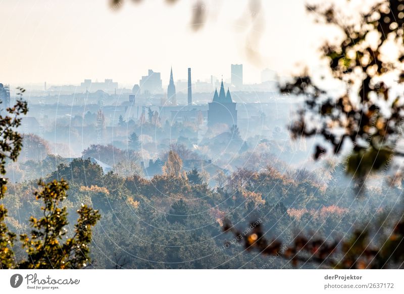 Herbstliche Aussicht vom Teufelsberg in Berlin Ferien & Urlaub & Reisen Tourismus Ausflug Abenteuer Ferne Freiheit Sightseeing Städtereise wandern Umwelt Natur