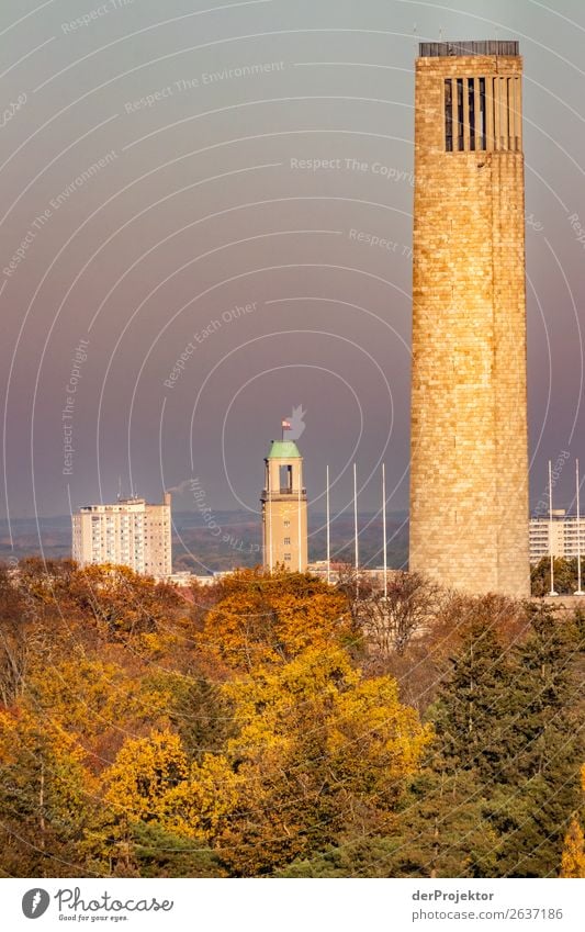 Berliner Panorama mit Glockenturm Berlin-Mitte Zentralperspektive Starke Tiefenschärfe Sonnenstrahlen Sonnenlicht Schatten Licht Morgen Textfreiraum Mitte