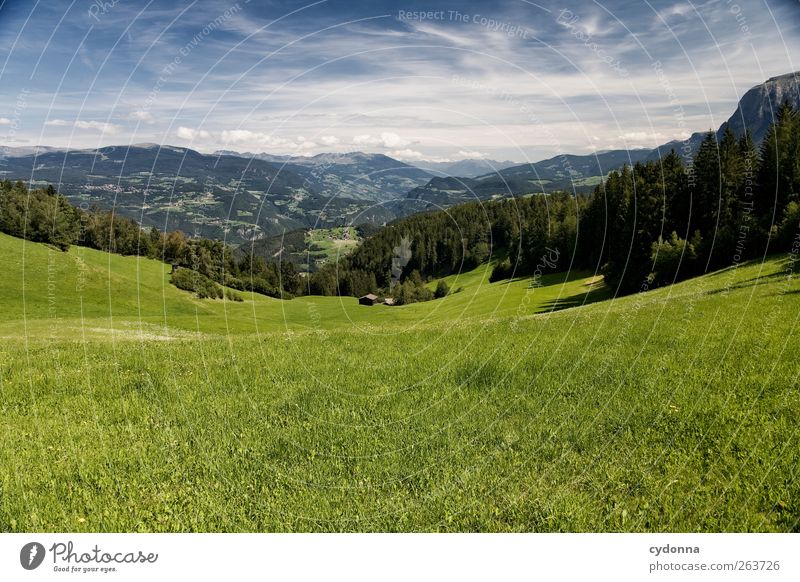 Weites Land harmonisch Wohlgefühl Erholung ruhig Ferien & Urlaub & Reisen Tourismus Ausflug Ferne Freiheit Umwelt Natur Landschaft Himmel Sommer Schönes Wetter