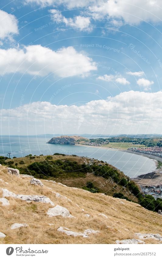 Walisische Küste Umwelt Natur Landschaft Pflanze Urelemente Erde Luft Wasser Himmel Wolken Sonnenlicht Sommer Klima Wetter Schönes Wetter Bucht Meer Insel frei