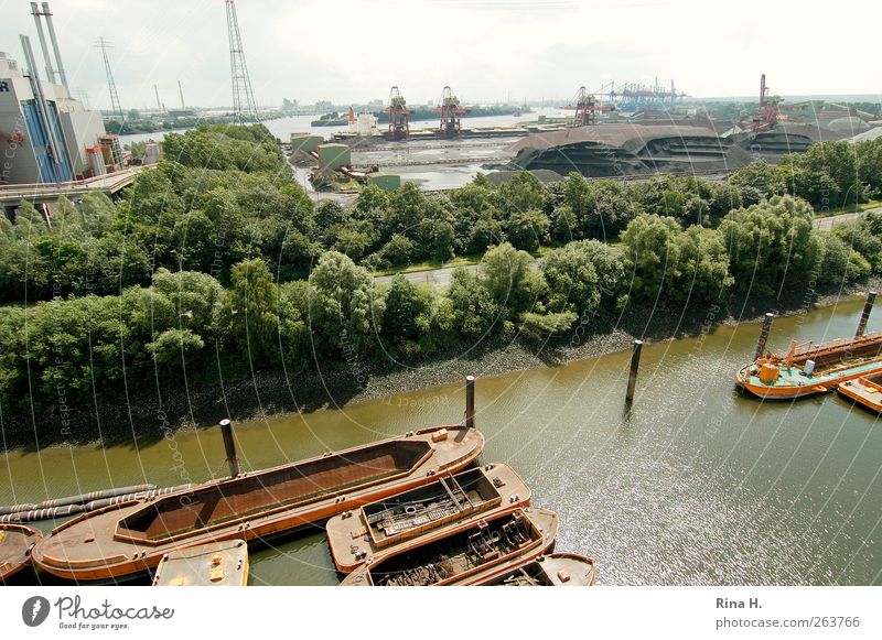 Hamburger Hafen Industrie Sommer Baum Fluss Hafenstadt Schifffahrt Binnenschifffahrt Wasserfahrzeug authentisch Elbe Wirtschaft Erz Farbfoto Menschenleer