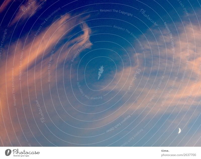 Himmels Wille Natur Wolken Nachthimmel Mond Schönes Wetter Sichelmond frei schön Lebensfreude Romantik trösten dankbar Gelassenheit geduldig ruhig Ausdauer