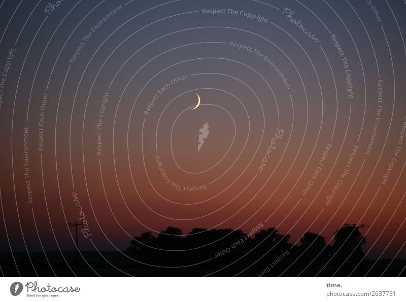 ) Umwelt Natur Landschaft Himmel Horizont Mond Schönes Wetter dunkel Unendlichkeit schön Romantik authentisch Leben Weisheit bescheiden Hoffnung demütig Schmerz