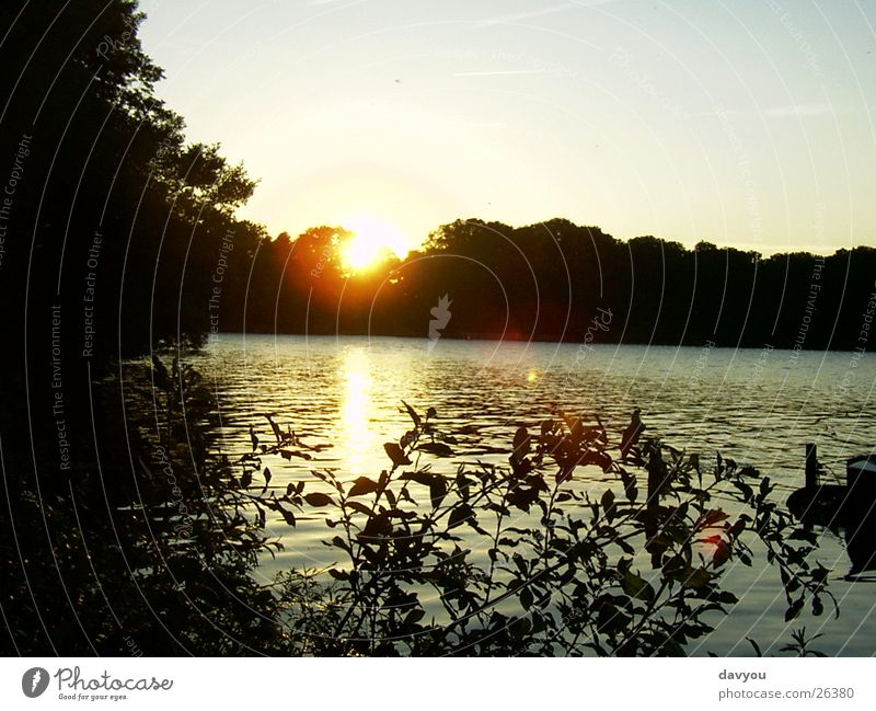 Sonnenuntergsng in Ascheberg Erholung Ausflug Ferne Seeufer Umwelt Natur Pflanze Wasser Himmel Sonnenaufgang Sonnenuntergang Sommer Park Wald genießen Romantik