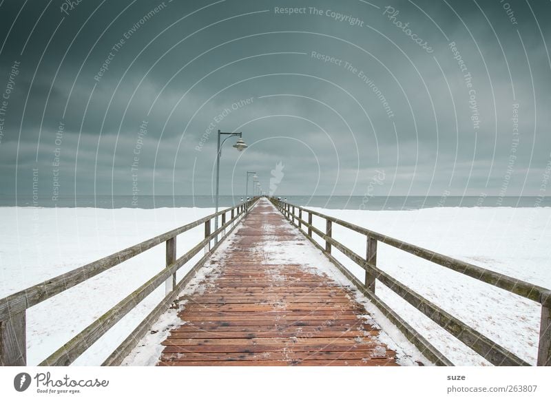 Seebrücke Umwelt Natur Landschaft Horizont Winter Klima Sturm Eis Frost Schnee Küste Ostsee Meer Brücke Wege & Pfade Holz außergewöhnlich dunkel fantastisch