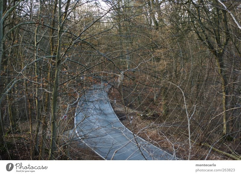 .....rush hour im schwabenländle Ausflug Abenteuer Ferne Winter Umwelt Natur Landschaft Schönes Wetter Baum Sträucher Wald Verkehrswege Straßenverkehr