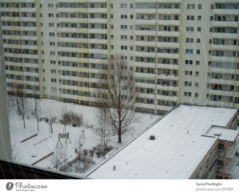 Fensterblick Winter Wohnhochhaus Kindergarten Häusliches Leben Plattenbau einsamer Baum